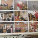 Remembrance at Rosepark/Rosehill Care Home